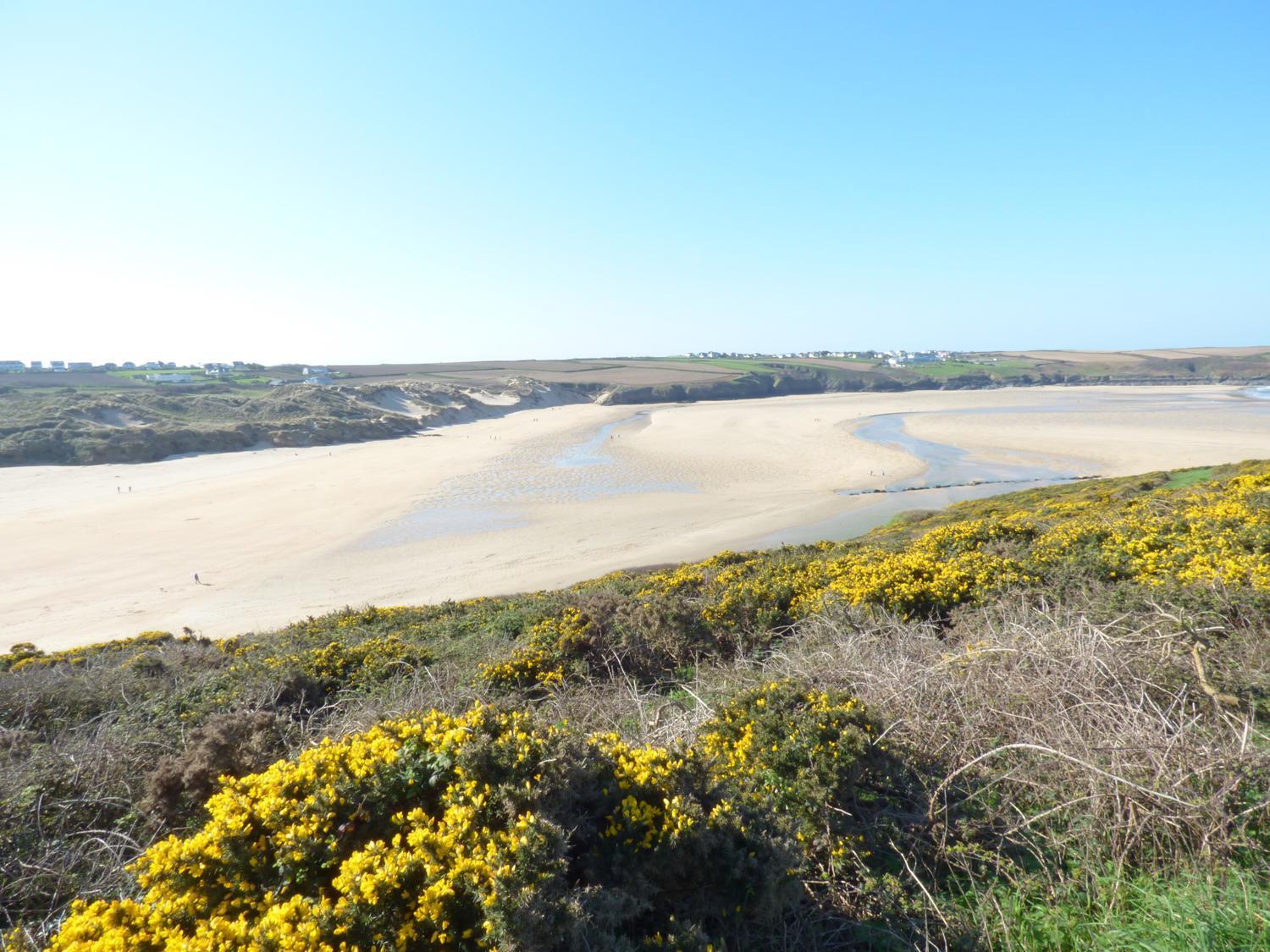 Fistral Breeze Vila New Quay Exterior foto